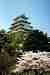 Himeiji